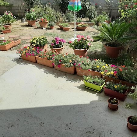 Casa Vacanze Millefiori Codice Iun Q3156 Teulada Kültér fotó